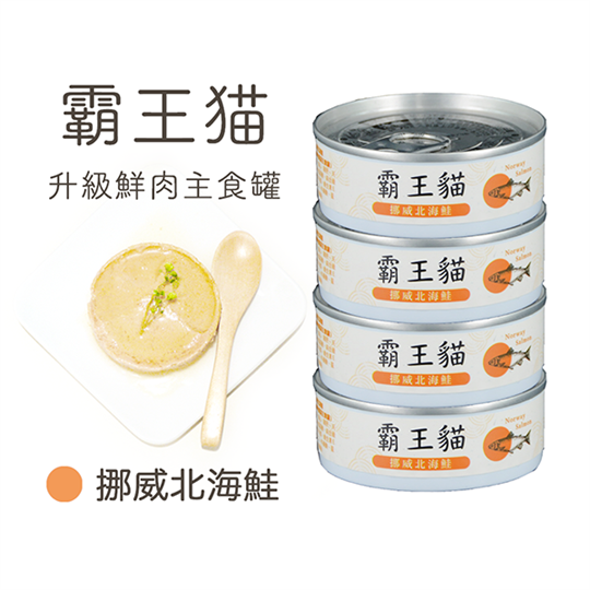 青川淺 貓主食罐 霸王貓第二代挪威北海鮭1 貓主食罐 1